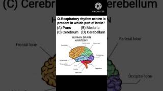 #biology #quicklearning #learning #quicklearn #quicktips #nursing #quickstudymaterial