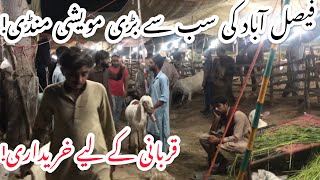 Cattle Market | maweshi mandi Faisalabad | Goat Market pakistan | Pakistani Goat