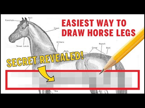 How to draw horse legs EASY - Secret REVEALED!