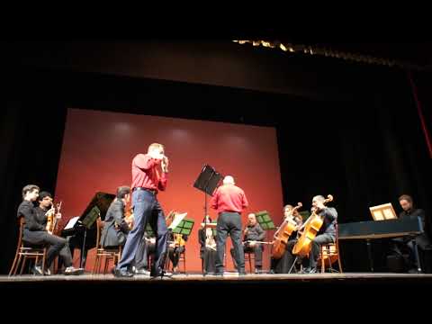 A. Vivaldi - Concerto in G major RV 436 - Giulio Boccaletti (ocarina)