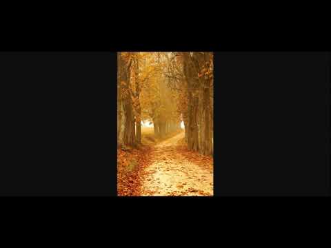 Psalms 91 | Audio version of Psalms 91