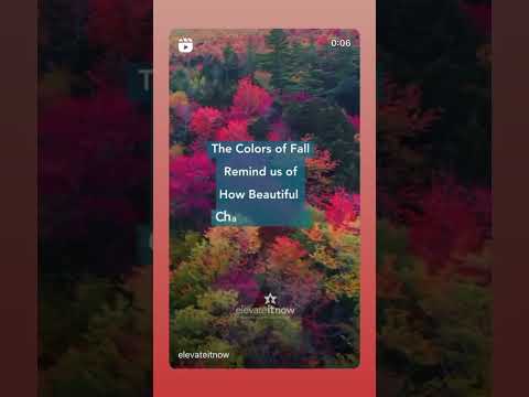 The colors of fall remind us of how beautiful change can be. #creativeinspiration #fallcolors
