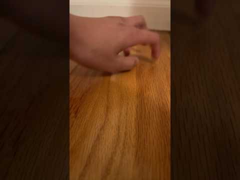 ASMR floor scurrying to your face + camera taps