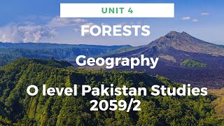 Unit 4 | Geography | Forests | O level Pakistan Studies 2059/2 | WS Studio | Waris Shahzad
