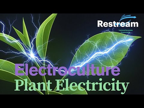 I Tried Electroculture for 30 Days and Boosted My Plant GROWTH