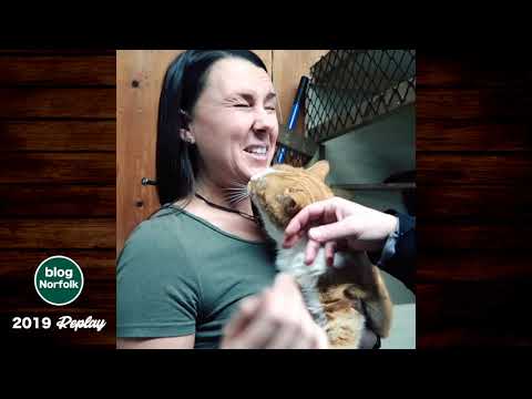 Purrfect Companions 2019