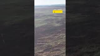 Another Ukrainian Field Covered With Fiber Optic Cables From FPV Drones #warinukraine #drone