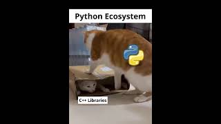 Python Shines when c Grinds.😂😂😂
