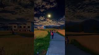 Magical Night Walk Under the Full Moon. 849bb4a98f45cc131d67534f5ab807d2