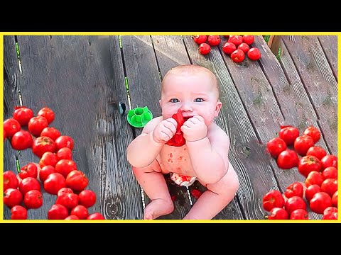 TOP Trending Baby Videos (30 Minutes Funny Baby Video) || 5-Minute Fails