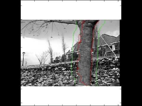 flower garden (motion competition, coarse-to-fine velocity estimates)