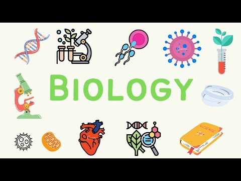 #13 A Level Biology - Genetic Engineering (Part 2) 🧫