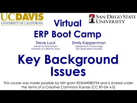 Background Issues 3-  Fundamental Principle 2