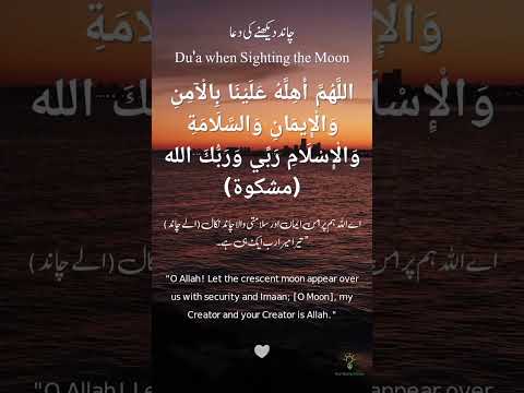 Eid Moon Sighting Dua #eid #eidmubarak #eidspecial #moon #عیدمبارک #عیدالفطر