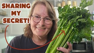 Why Your Dehydrated Celery Is Gross and How to Fix It