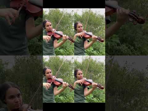 Violin Duet With Myself! #violin #violinist #violinduet #violinmusic #softmusic #violintune