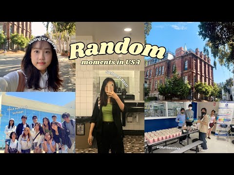 ✨Random moments in USA | Short vlog, school tour, early August | USA Diares #4