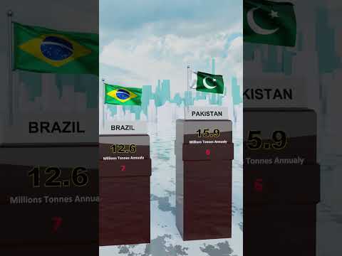 Which Countries Waste the Most Food? A Surprising Look