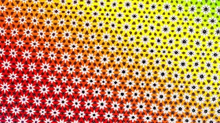 Dataset Collections: A paired list