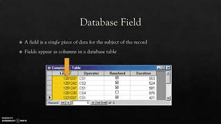 Database Concepts: Table, Field, Record