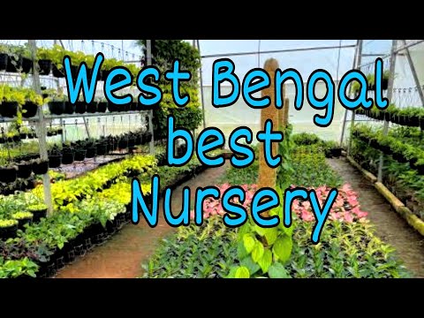 West Bengal Best Nursary