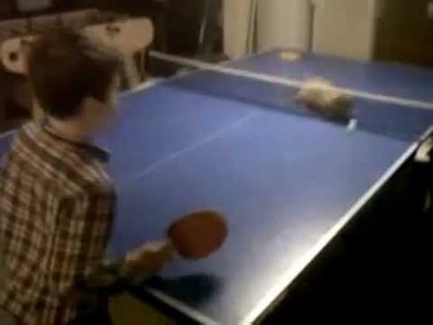 EternallyFunny | Cat Plays Ping Pong