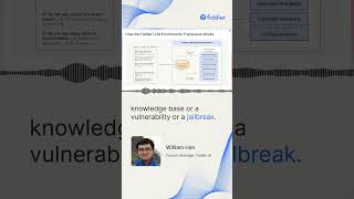 Fiddler LLM Enrichments Framework