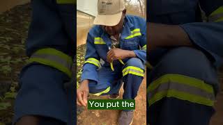 How we Grow the Mighty Baobab Tree!