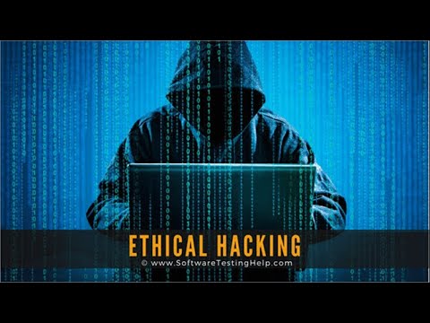 Kali Linux History--(2)