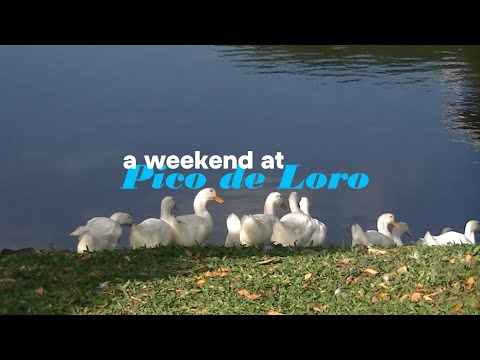 72 hours at pico de loro ♡ ̆̈  camcorder vlog
