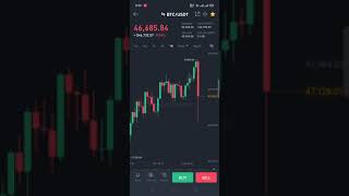 Market Correction Btc Dump