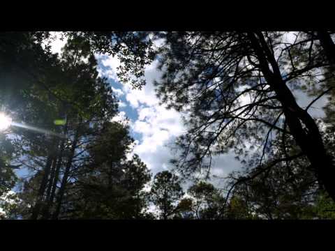 Big Mike the Mack - My Whole Life (officialVideoMusic) (JemezEdition) (FanMade)