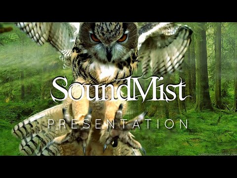 Thrilling Story in Sound Design by SoundMist