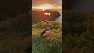 This summer, the Midnight Sun will soon return to Iceland! 🥹🇮🇸#shorts #iceland #travel #nature
