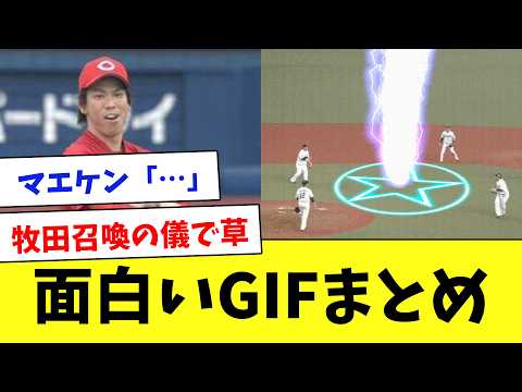【総集編】プロ野球のおもしろGIF&動画www
