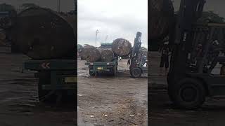 Loading logs without skill #offroad #excavator #bulldozer #driver #automobile