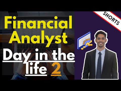 Day in the life of a Financial Analyst - Part 2 #Shorts
