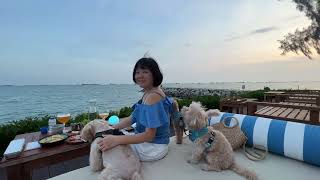 Stella Seaside Lounge @ Changi Coast Walk