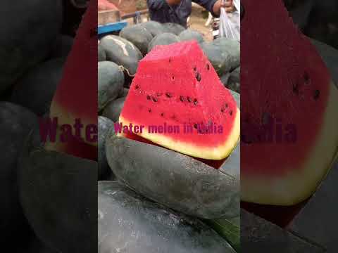 Water melon