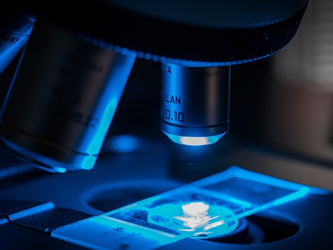 HealthLifeSciences