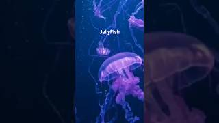 Mesmerizing jellyfish drifting gracefully in the deep blue #Jellyfish  #OceanVibes #SeaL #OceanMagic