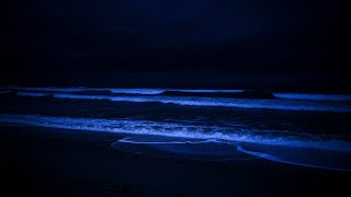 🔴 FOCUS BOOST: 14 HR Unbroken Waves for Productivity & Study
