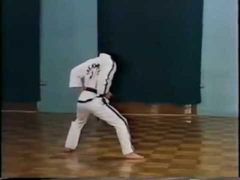 Taekwondo: Se Jong Tul