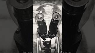 The strange history of bacterial science