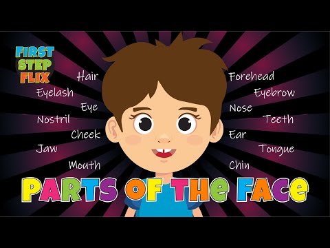 Parts of the Face | Face Vocabulary | Body Parts | English for Kids