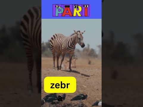 A to Z @paristories21 #Alphabet #Zebra #Zoo #Zipper #Zealous #Zany