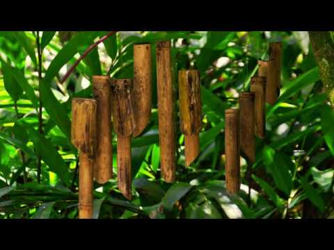 Wood Chime | Binaural Beats, Delta Wave Music, Healing Music, Meditation Music, Music For Sleep