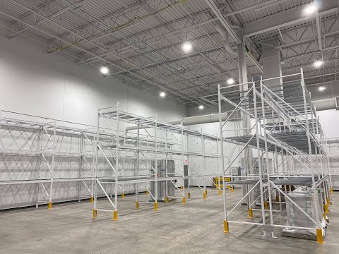 Birdi, Inc. | Project Spotlight