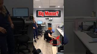 mouse prank on the doctor