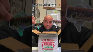 “Unboxing Ball Python” #ballpython #ballpythonsnake #animals #royalpythons #python #ballpythonmorph